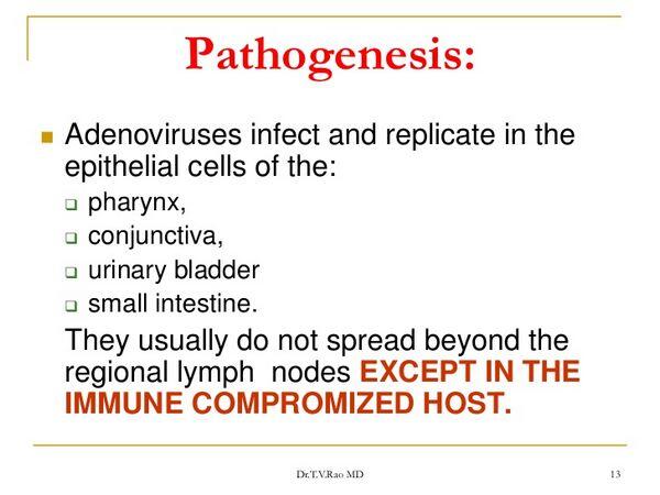 Adenovirus infections