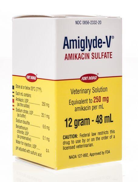 Amikacin Sulfate Amikacin Sulfate