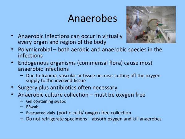 Anaerobic & Necrotizing Infections