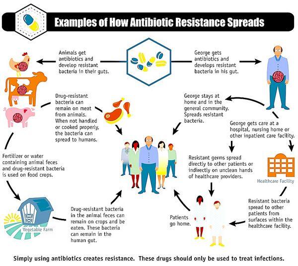 Antibiotics and Antibiotic Resistance