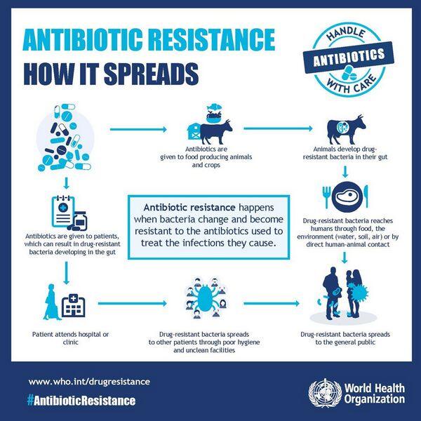 Antimicrobial Resistance Antimicrobial Resistance