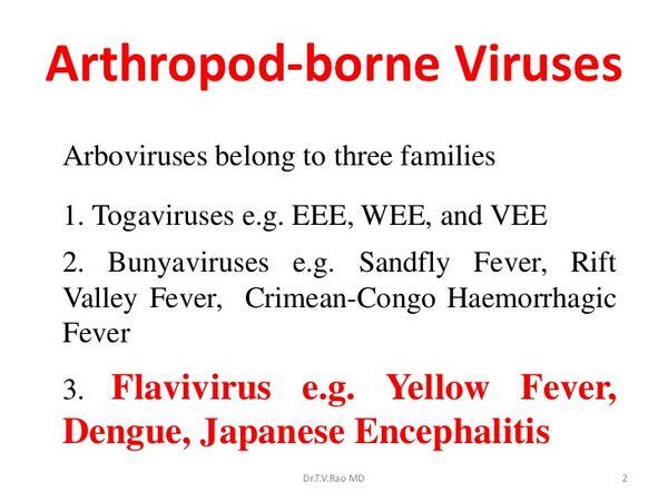 Arthropod-Borne Viral Encephalitis Arthropod-Borne Viral Encephalitis