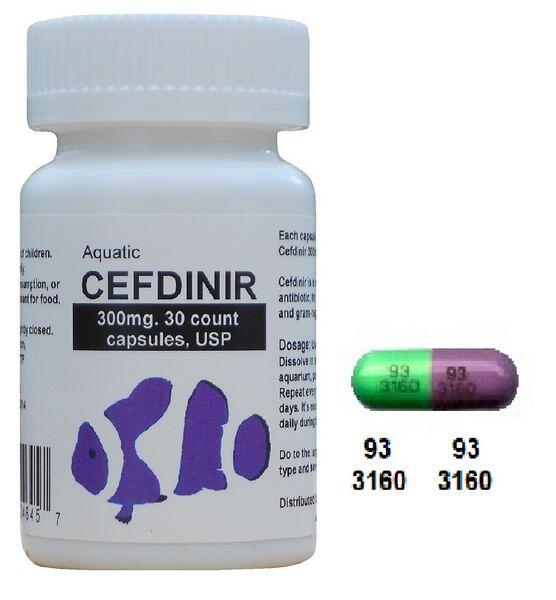 Omnicef 300 mg antibiotic