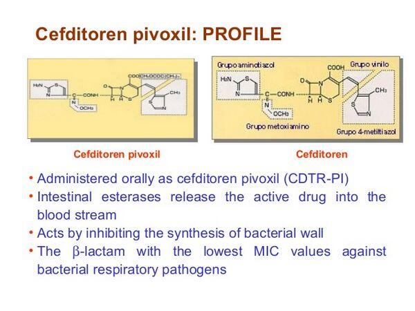 Cefditoren Pivoxil Cefditoren Pivoxil