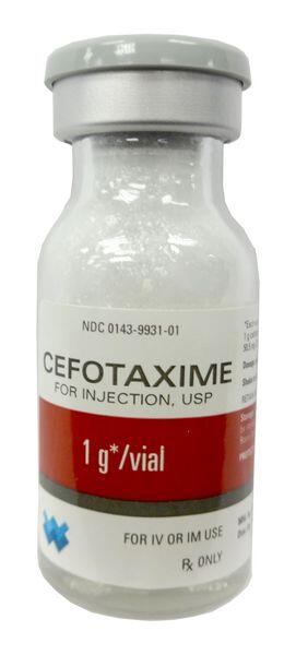 Cefotaxime Cefotaxime