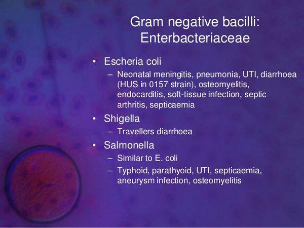 Gram-Negative Bacillary Meningitis