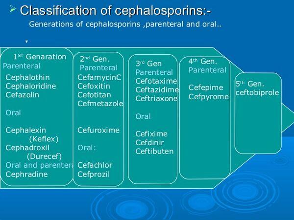 Cephalosporins Cephalosporins
