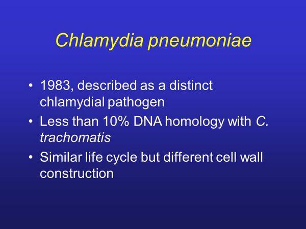 Chlamydia Pneumoniae