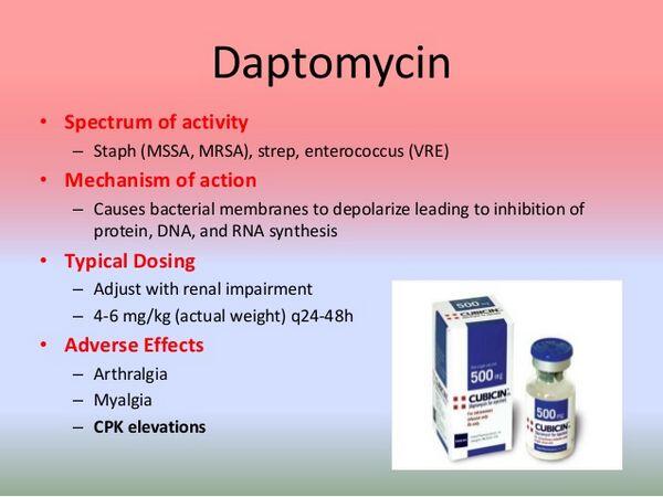 Daptomycin