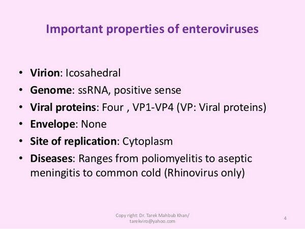 Enteroviruses