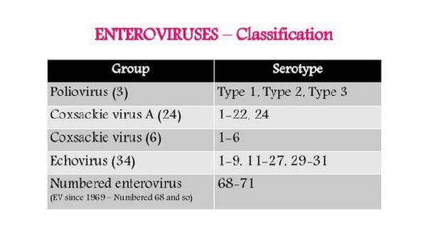 Enteroviruses