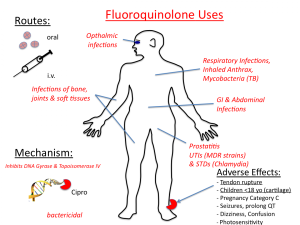 Fluoroquinolones Fluoroquinolones