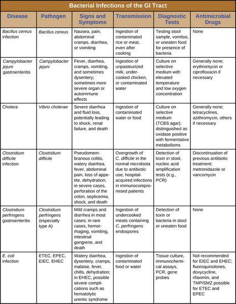 Gastrointestinal Infections