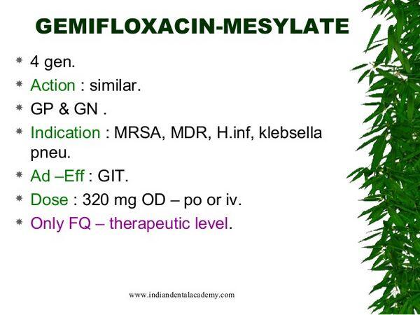 Gemifloxacin Mesylate Cautions