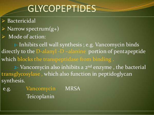 Glycopeptides - Bactericidal Antibiotics Glycopeptides - Bactericidal Antibiotics