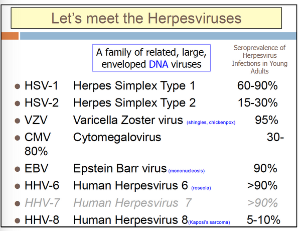 Herpesviruses