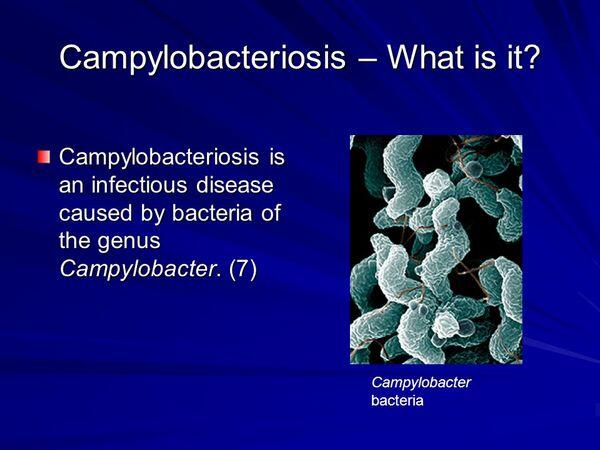 Campylobacteriosis