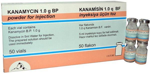 Kanamycin Sulfate Kanamycin Sulfate