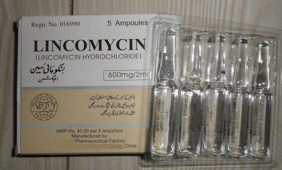 Lincomycin Hydrochloride
