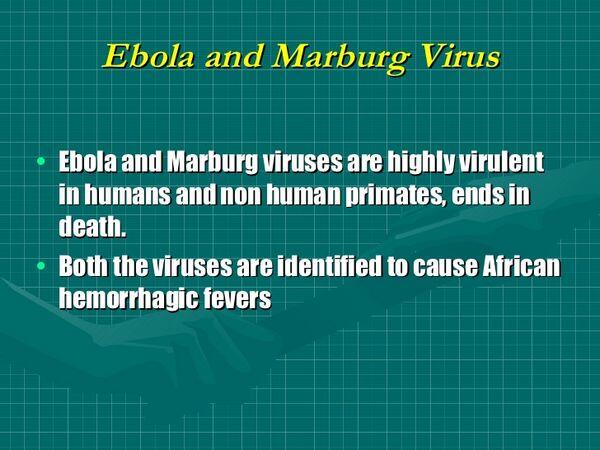 Marburg & Ebola Virus Marburg & Ebola Virus