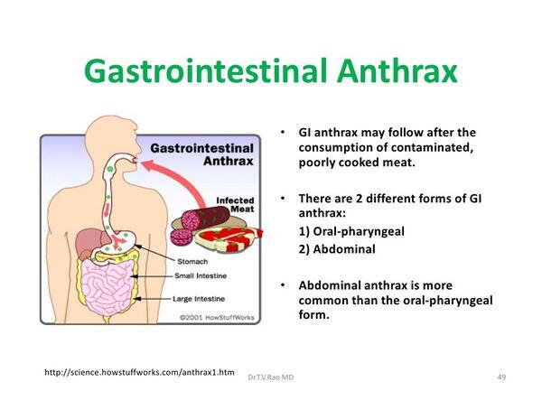 Anthrax tablet