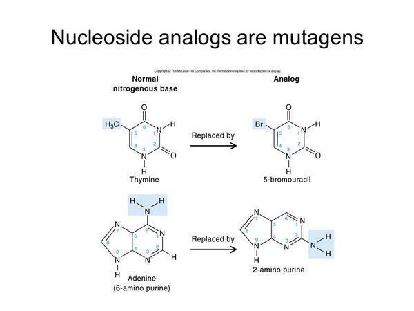 Nucleoside analogs