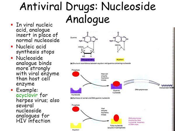 Nucleoside analogs