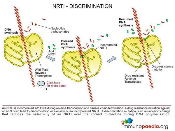 Nucleoside Reverse Transcriptase Inhibitors Nucleoside Reverse Transcriptase Inhibitors