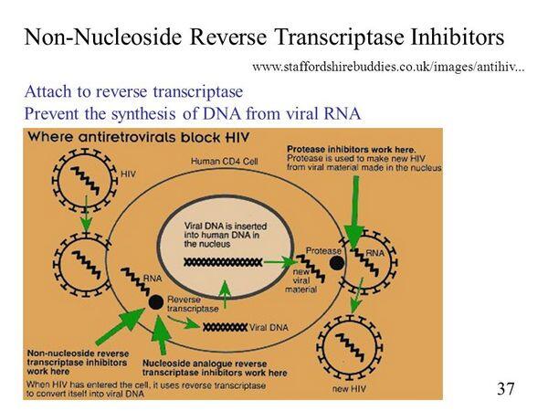 Nucleoside Reverse Transcriptase Inhibitors Nucleoside Reverse Transcriptase Inhibitors
