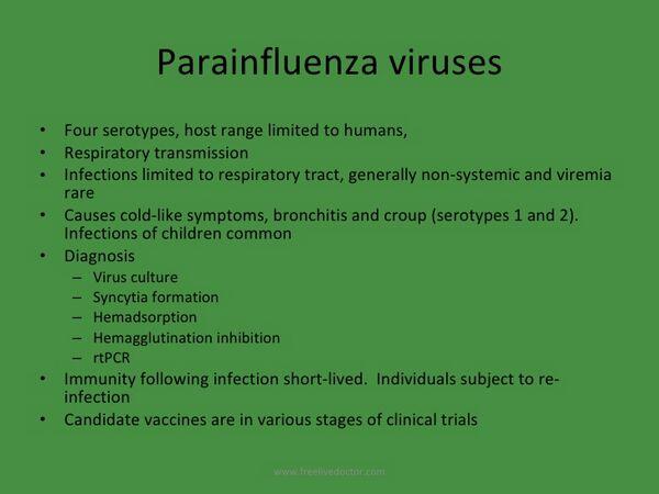 Parainfluenza Virus