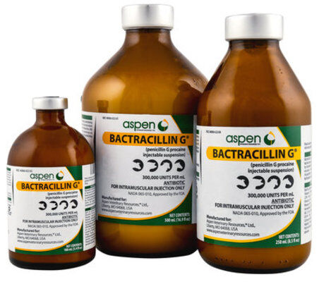 Penicillin G Procaine Penicillin G Procaine