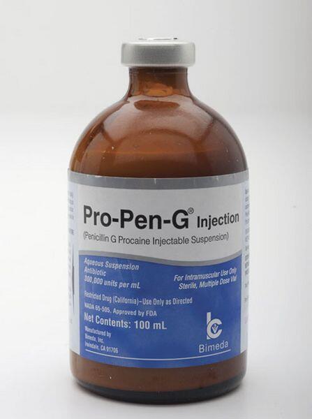 Penicillin G Procaine Penicillin G Procaine