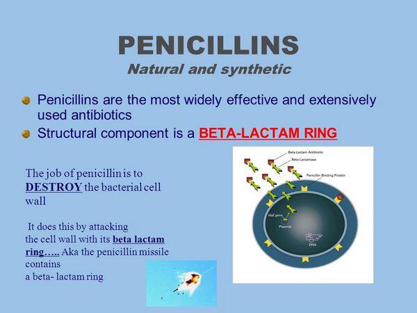 Penicillins Penicillins