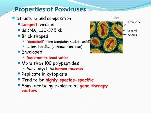 Poxviruses