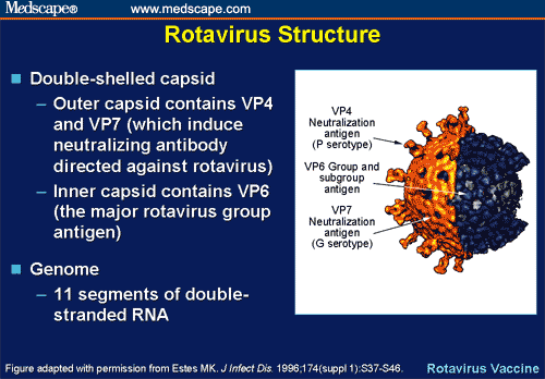 Rotavirus