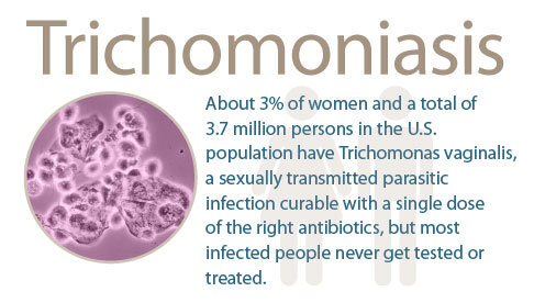 Sexually Transmitted Diseases: Trichomoniasis