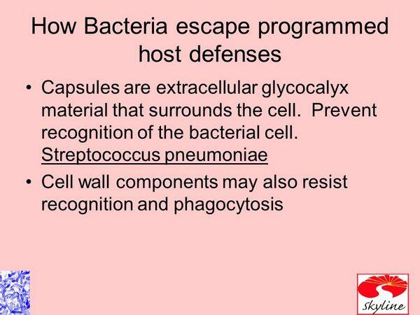Stimulation and Evasion of the Host Defenses Stimulation and Evasion of the Host Defenses