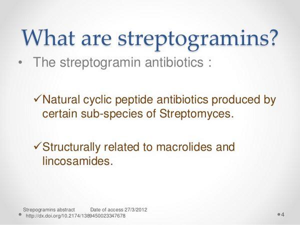 Streptogramins