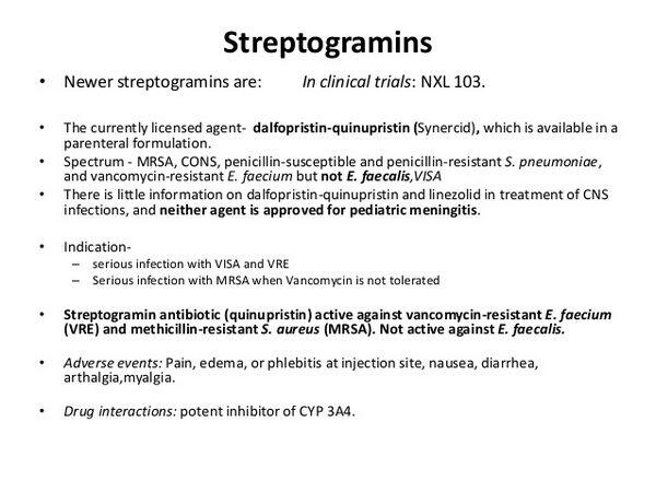 Streptogramins