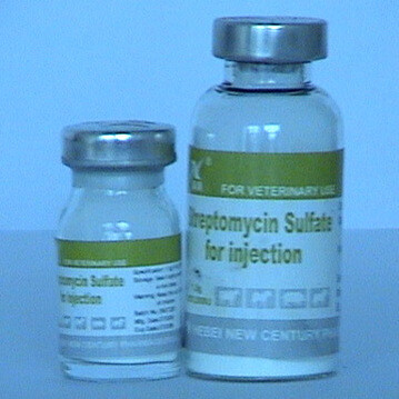 Streptomycin Sulfate Streptomycin Sulfate