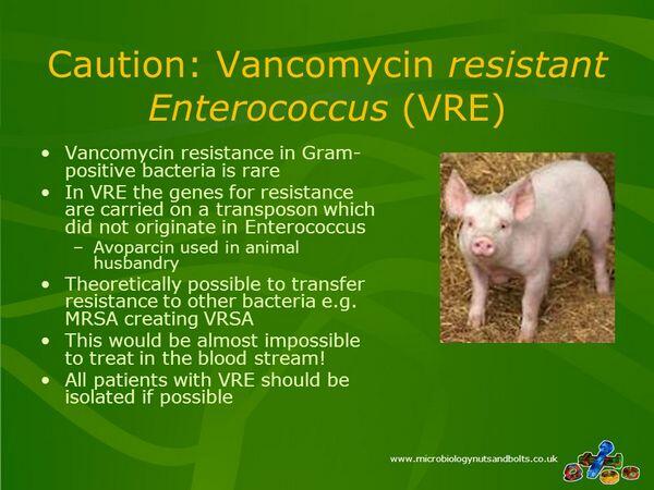 Vancomycin Cautions Vancomycin Cautions