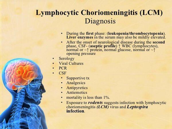 LYMPHOCYTIC CHORIOMENINGITIS