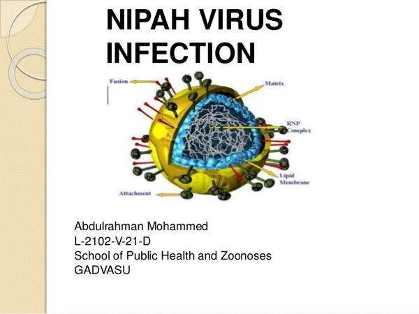 NIPAH VIRUS