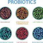 Healthy Bacteria